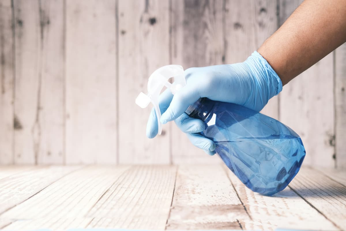 Eco-Friendly Green Cleaning Service