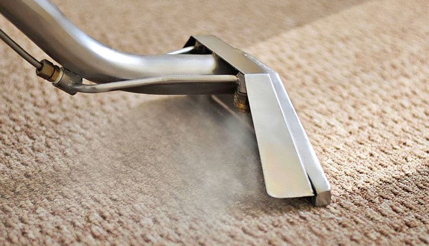 Professional carpet steam cleaning service