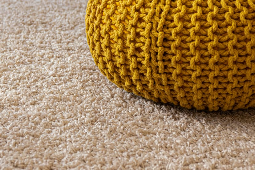 Carpet Cleaning Services in Brighton Beach.